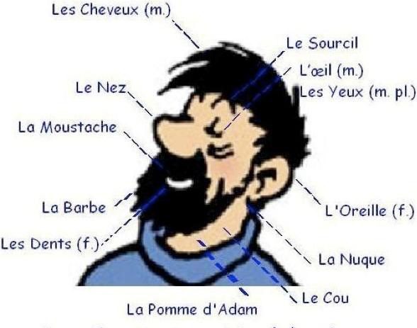 La figure
